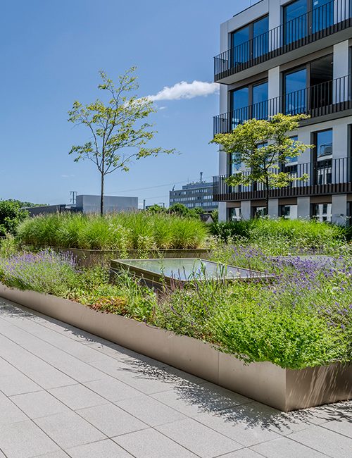 Airfield Office-037-Ausschnitt